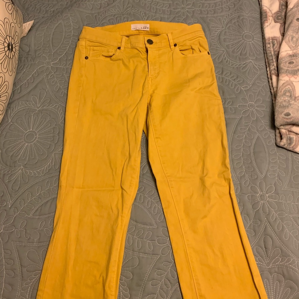 Pants-Ann Taylor Loft